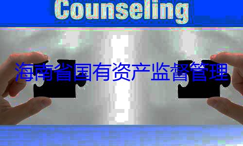 资产监督管有福接受审委副书记王海南省国有理委员会党查调查